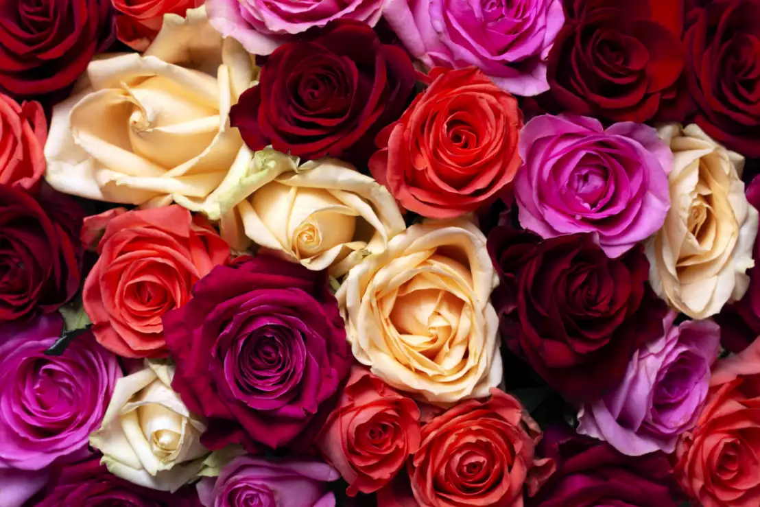 Berg Vesuvius Mexico Teken Valentijnsbloemen bestellen | Verras jouw grote liefde! 💖 | BloemenBezorgen